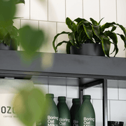 Mixed Foliage Displays | GreenAir gallery detail image