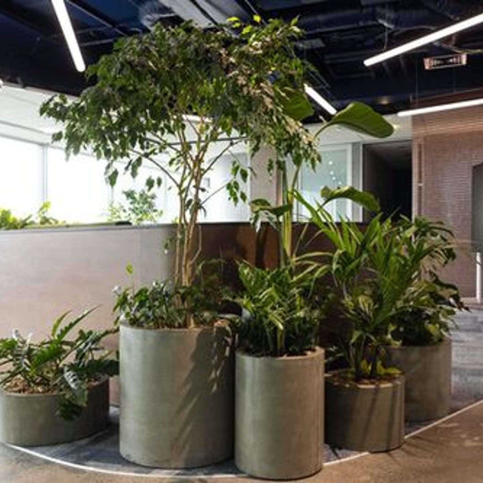 Floor Standing Planters | GreenAir gallery detail image