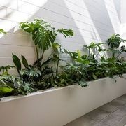 Customisable Indoor Garden Solutions | GreenAir gallery detail image
