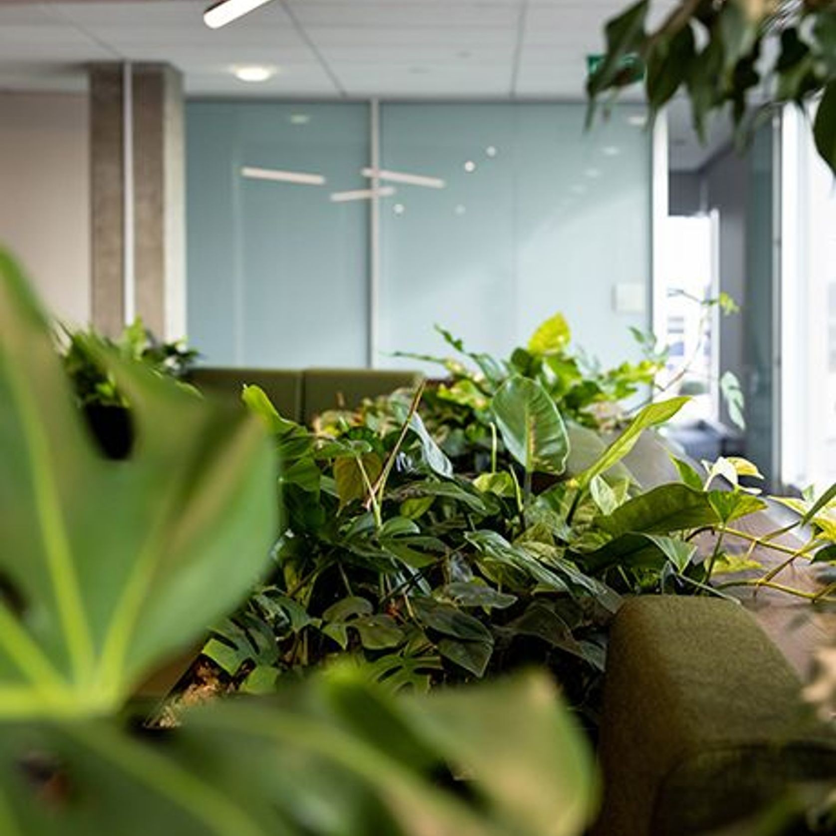 Customisable Indoor Garden Solutions | GreenAir gallery detail image