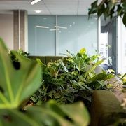 Customisable Indoor Garden Solutions | GreenAir gallery detail image
