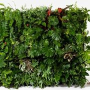Event Plant Hire | GreenAir gallery detail image