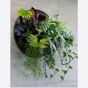 Wall Solutions | GreenAir gallery detail image