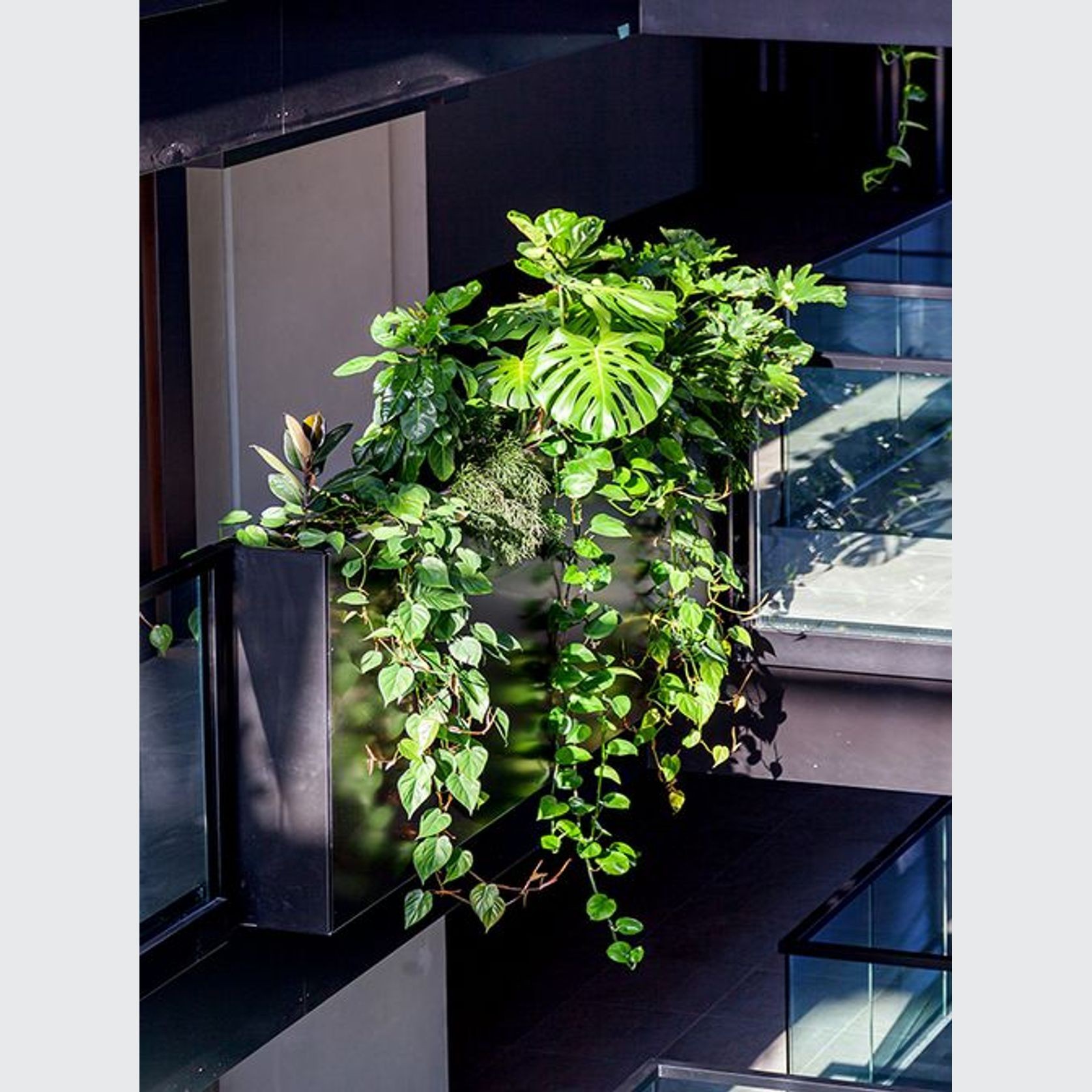 Engineered Balustrade Planters | GreenAir gallery detail image