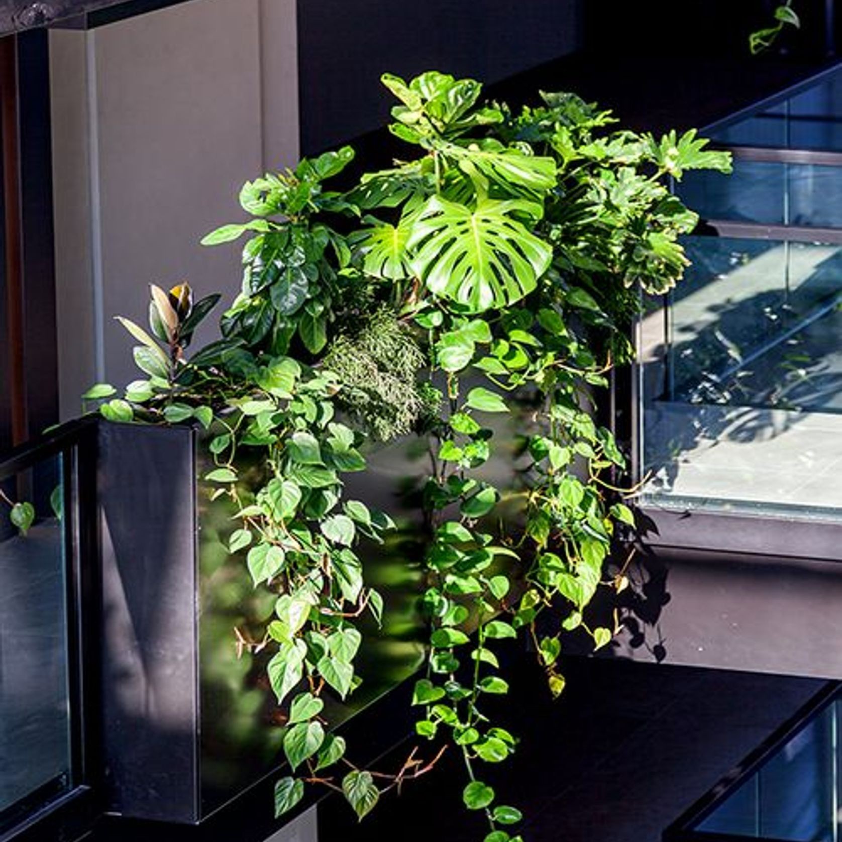 Engineered Balustrade Planters | GreenAir gallery detail image