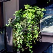 Engineered Balustrade Planters | GreenAir gallery detail image