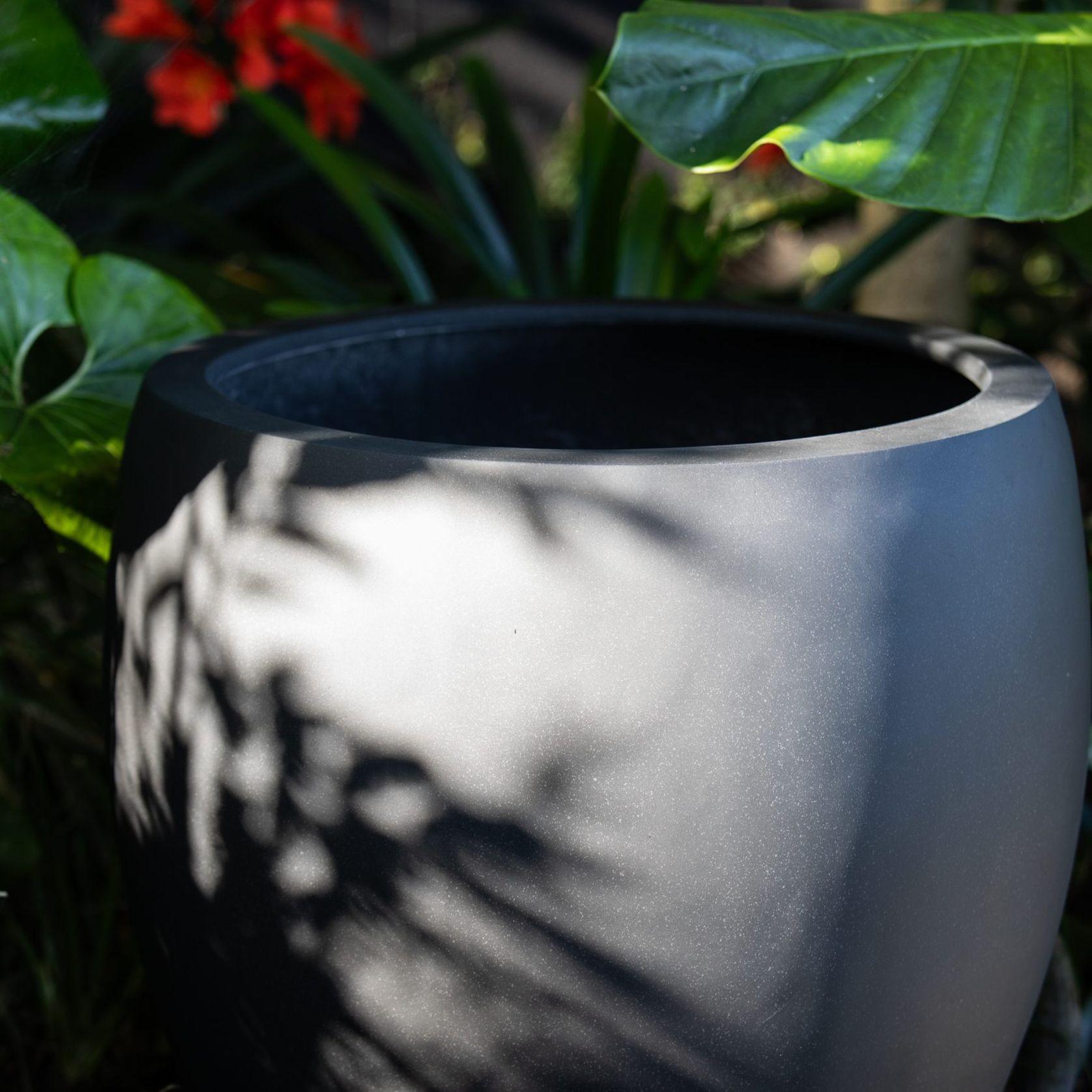 Franoma - Amarillo Planter gallery detail image