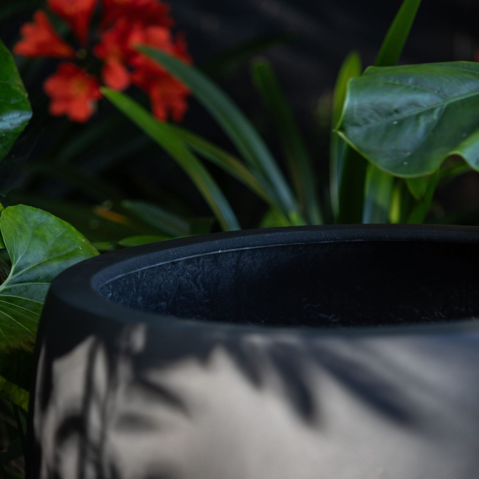 Franoma - Amarillo Planter gallery detail image