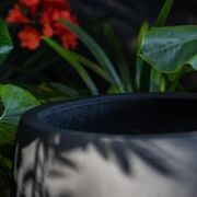 Franoma - Amarillo Planter gallery detail image
