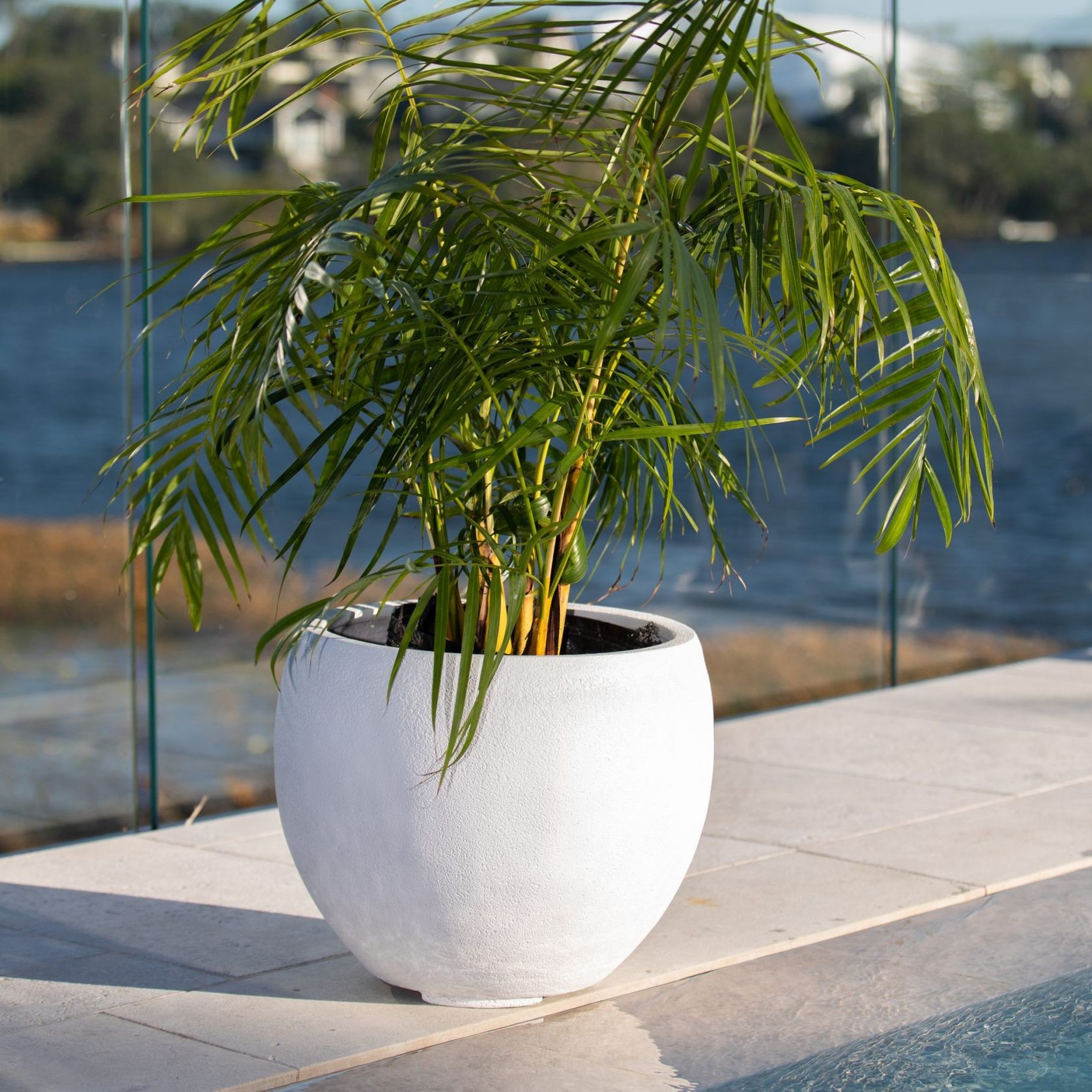 Franoma - Hamilton Planter gallery detail image