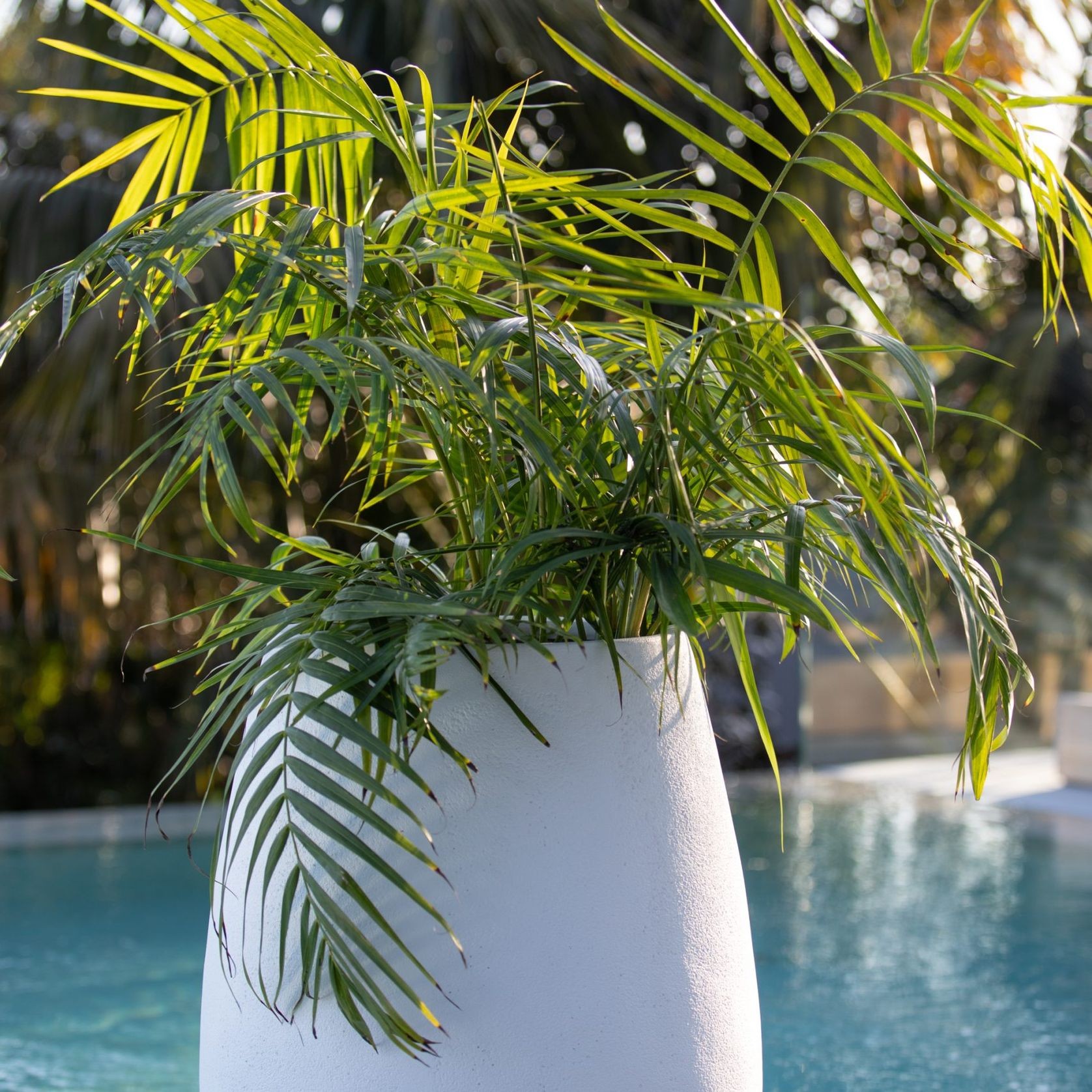 Franoma - Savona Planter gallery detail image