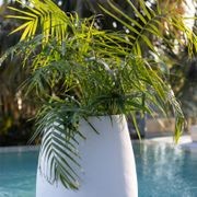Franoma - Savona Planter gallery detail image