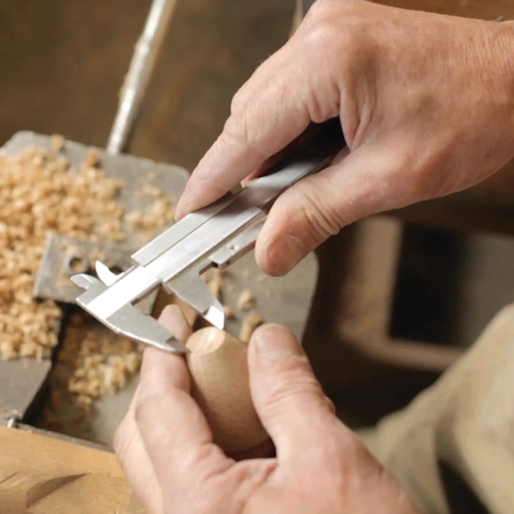 Kristian Vedel Bird - Large gallery detail image