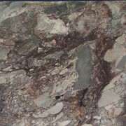 Four Seasons | Quartzite gallery detail image
