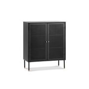 Mesh 2 Door Low Storage Cabinet | Matte Black gallery detail image