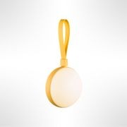 Bring-To-Go gallery detail image