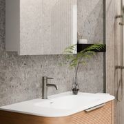 Luxe 750mm Mirror Cabinet | 2 Door gallery detail image