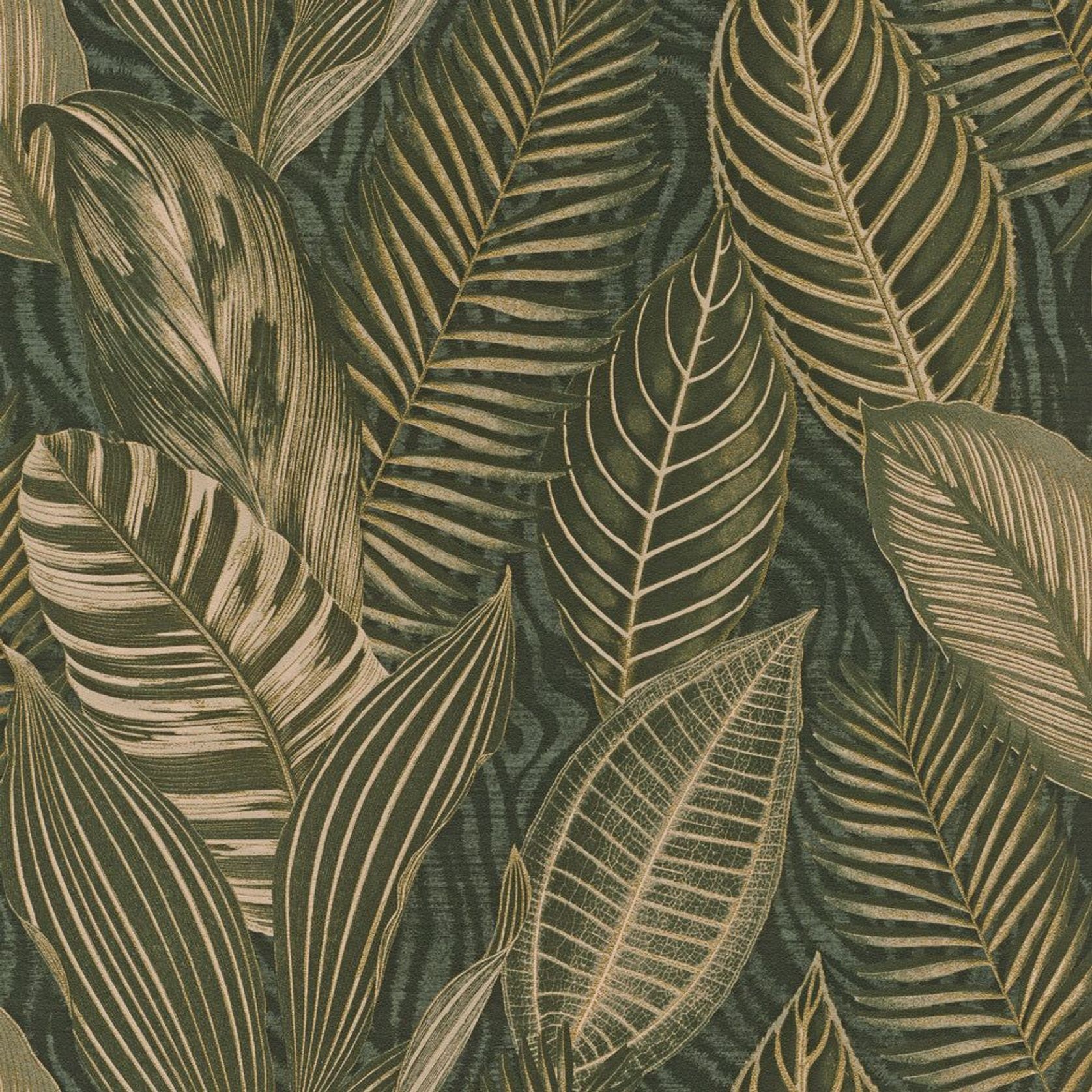 African Queen III Wallpaper (No. 751826) gallery detail image
