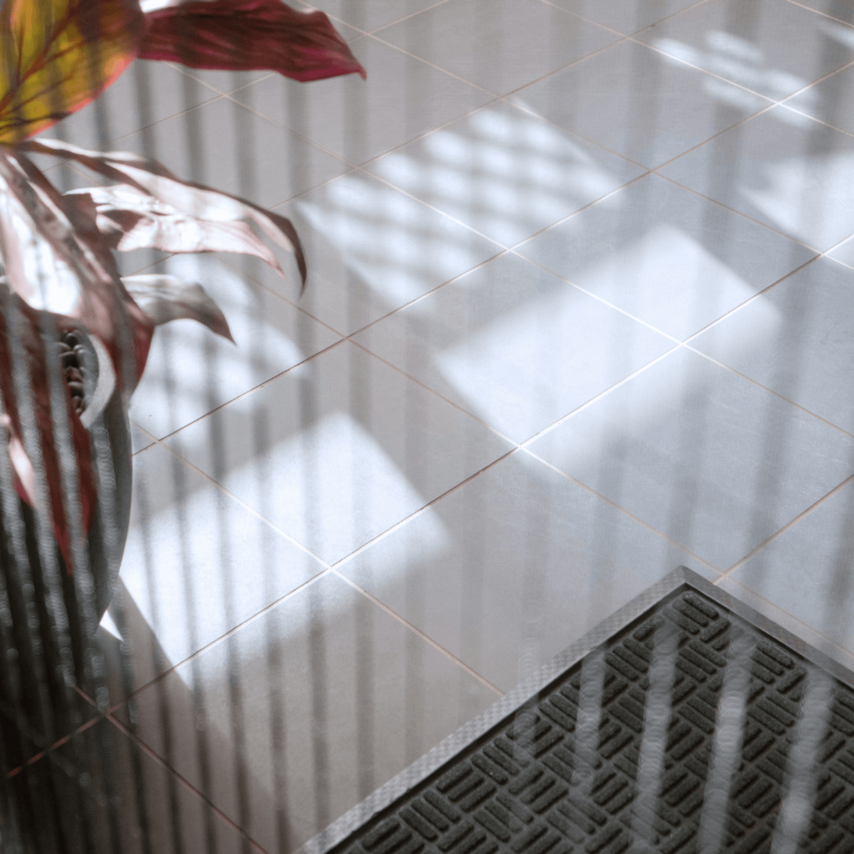 Retractable Flyscreen : French door gallery detail image