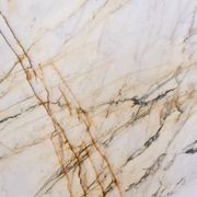 Natural Stone Slabs | Paonazzo gallery detail image