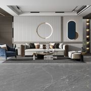 Elegant Grey gallery detail image