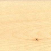 Yellow Cedar gallery detail image