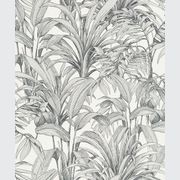 Asperia Wallpaper (No. A51401) gallery detail image