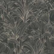 Asperia Wallpaper (No. A51403) gallery detail image
