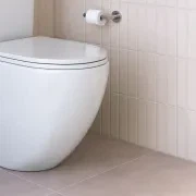 Asher Rimless Back to Wall Toilet Suite gallery detail image