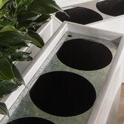 Insert Tray gallery detail image