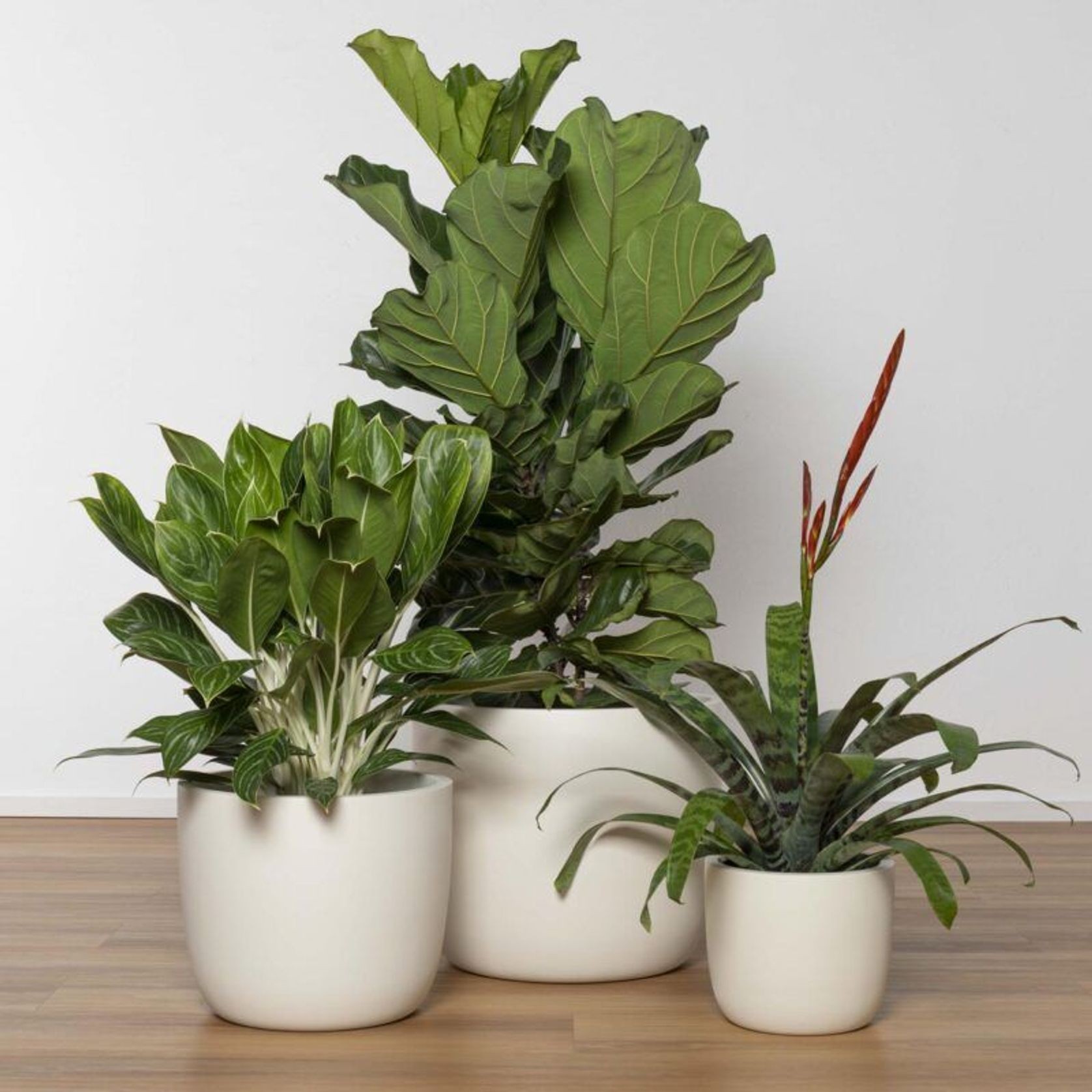 Alesund U Cup gallery detail image