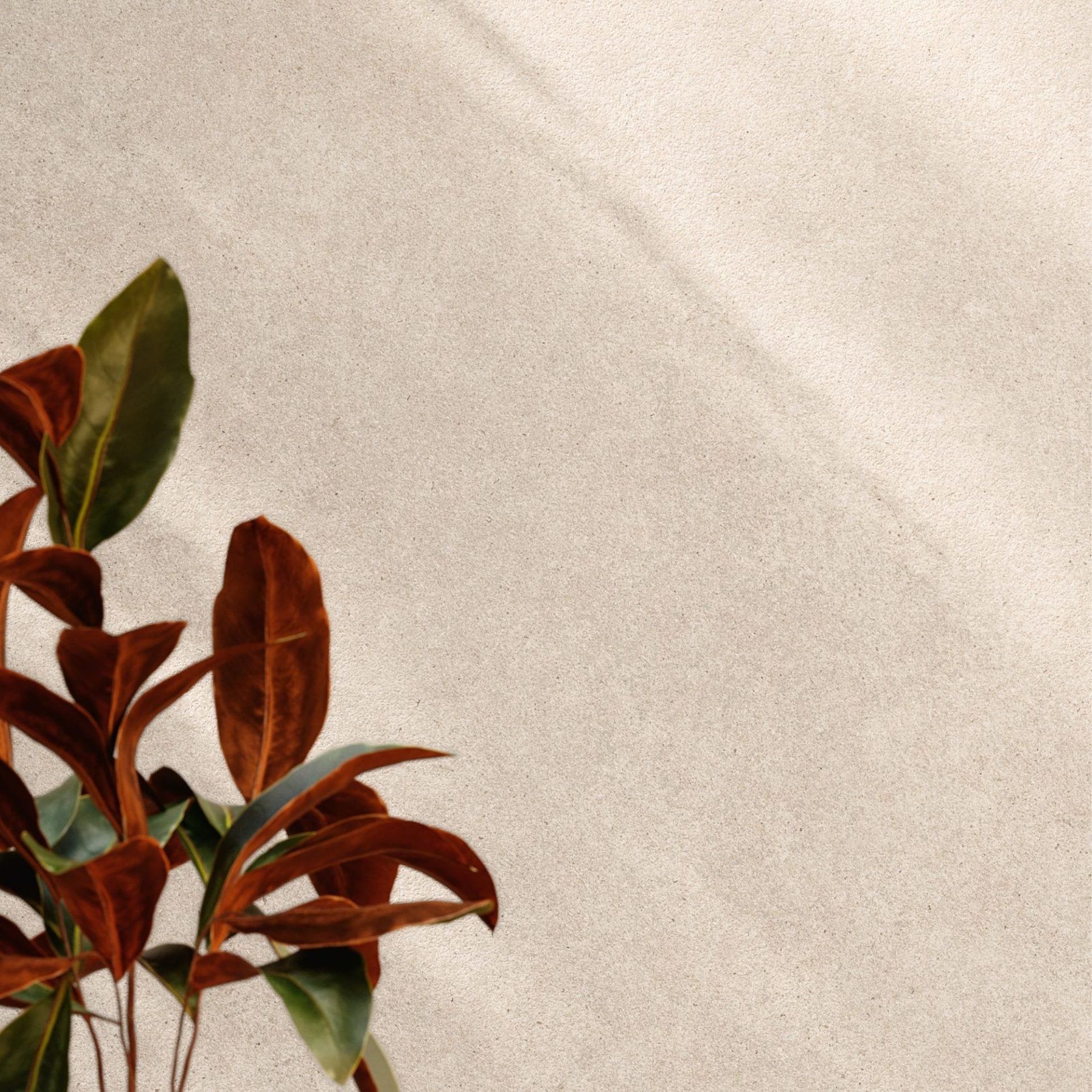 Serena Taupe 60x60 gallery detail image