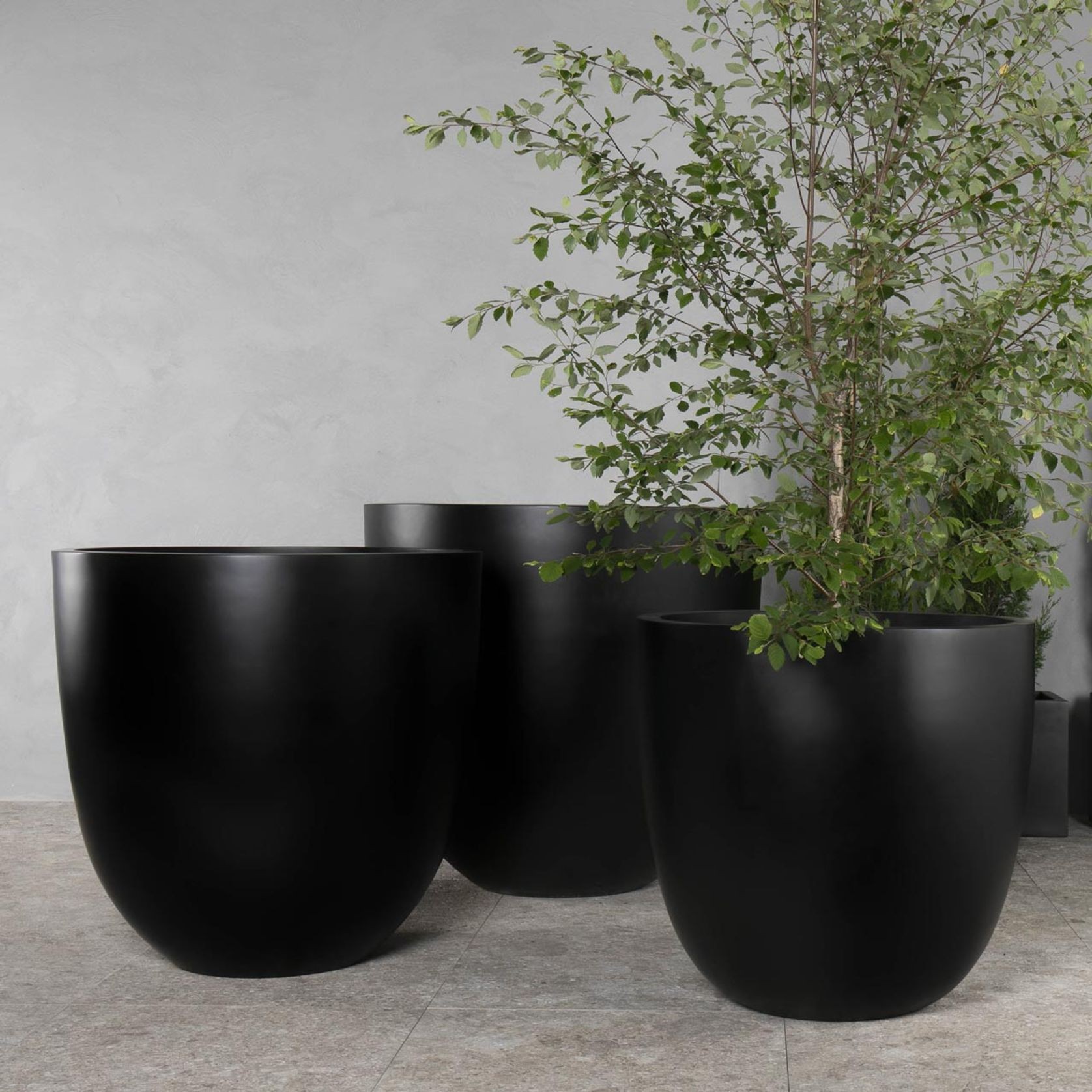 Armadale Tall Cup gallery detail image