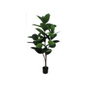 Potted Ficus Tree 121cm gallery detail image