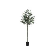 Potted Trim Olive Tree 153cm gallery detail image