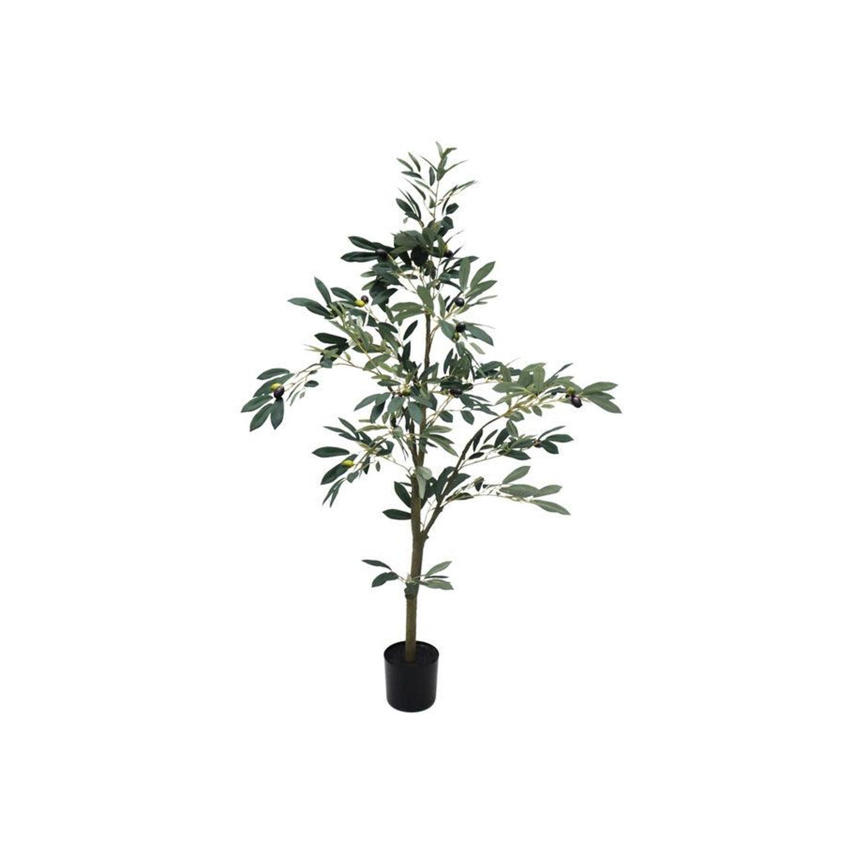 Potted Full Olive Tree 122cm gallery detail image