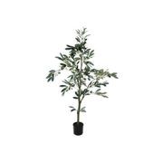 Potted Full Olive Tree 122cm gallery detail image