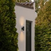 Artilus Wall Light gallery detail image