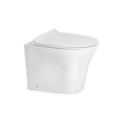 Signature Hygiene Rim BTW with CrystaSleek Seat gallery detail image