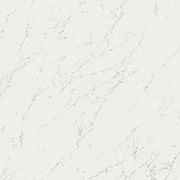 Marvel Carrara Pol XL Marble Tile gallery detail image