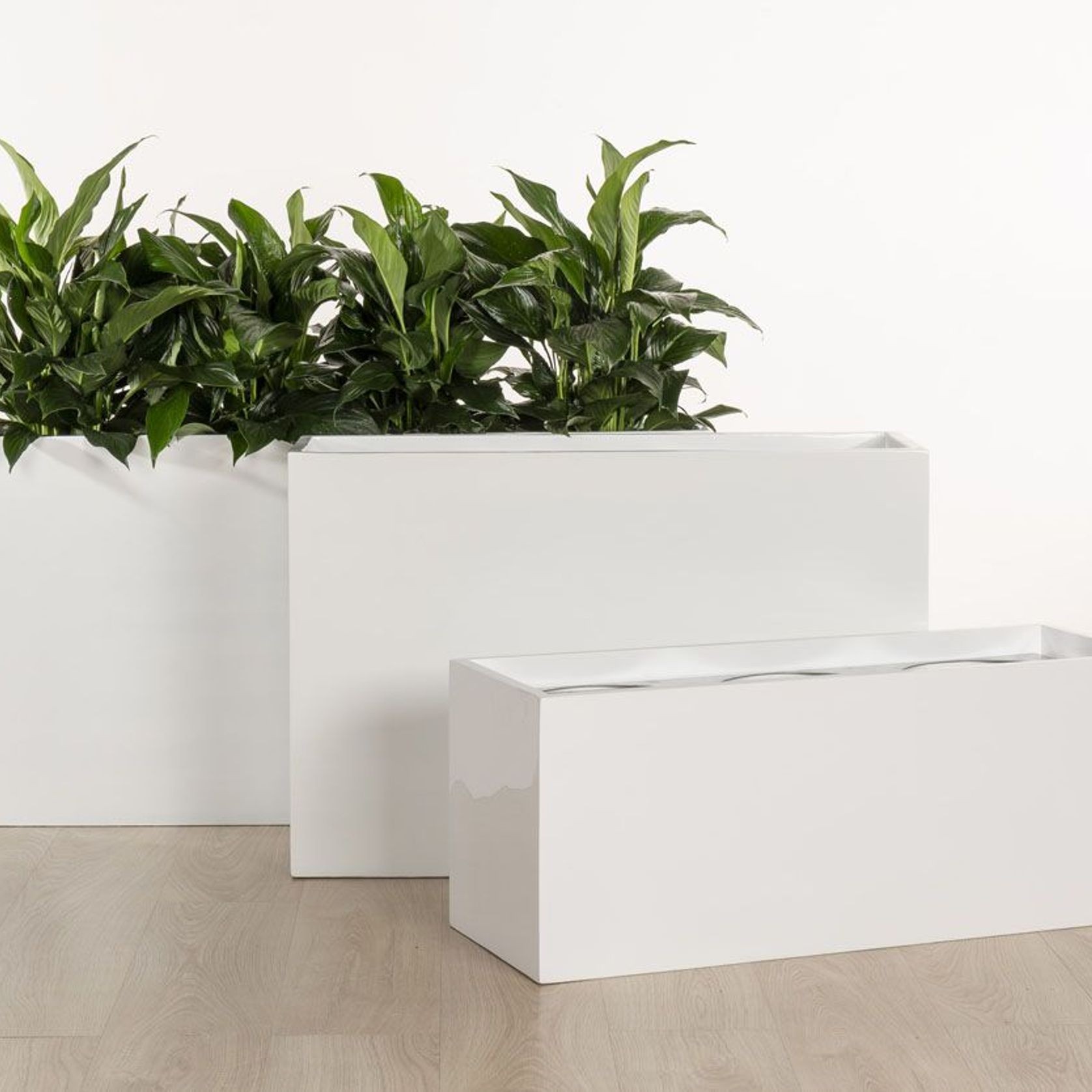 Auchenflower Trough gallery detail image