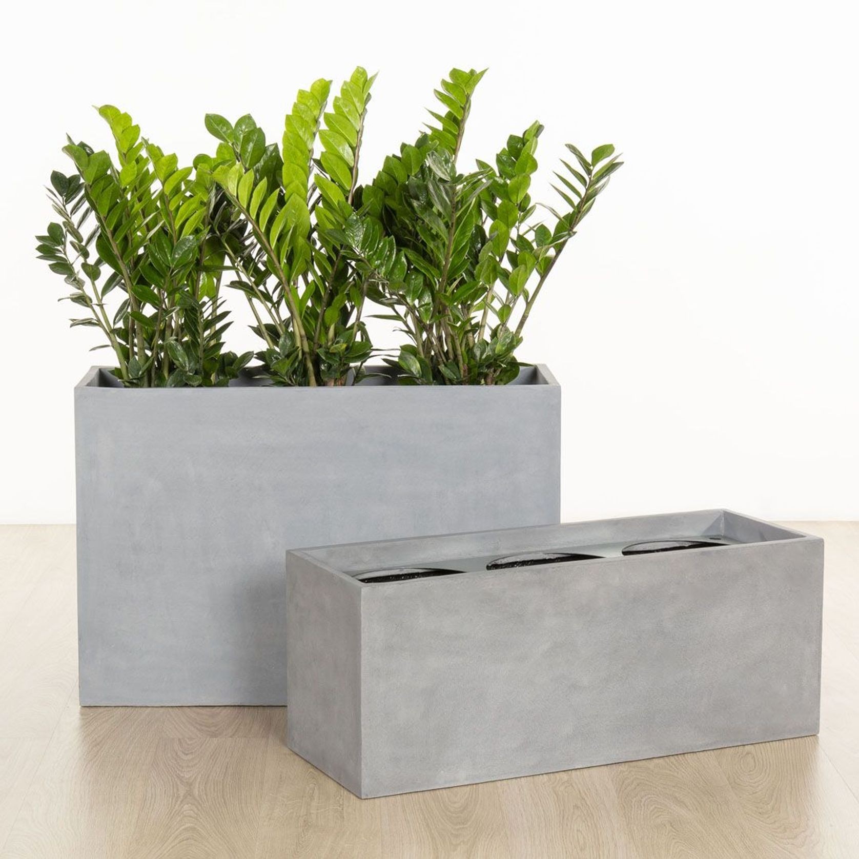 Auchenflower Trough gallery detail image