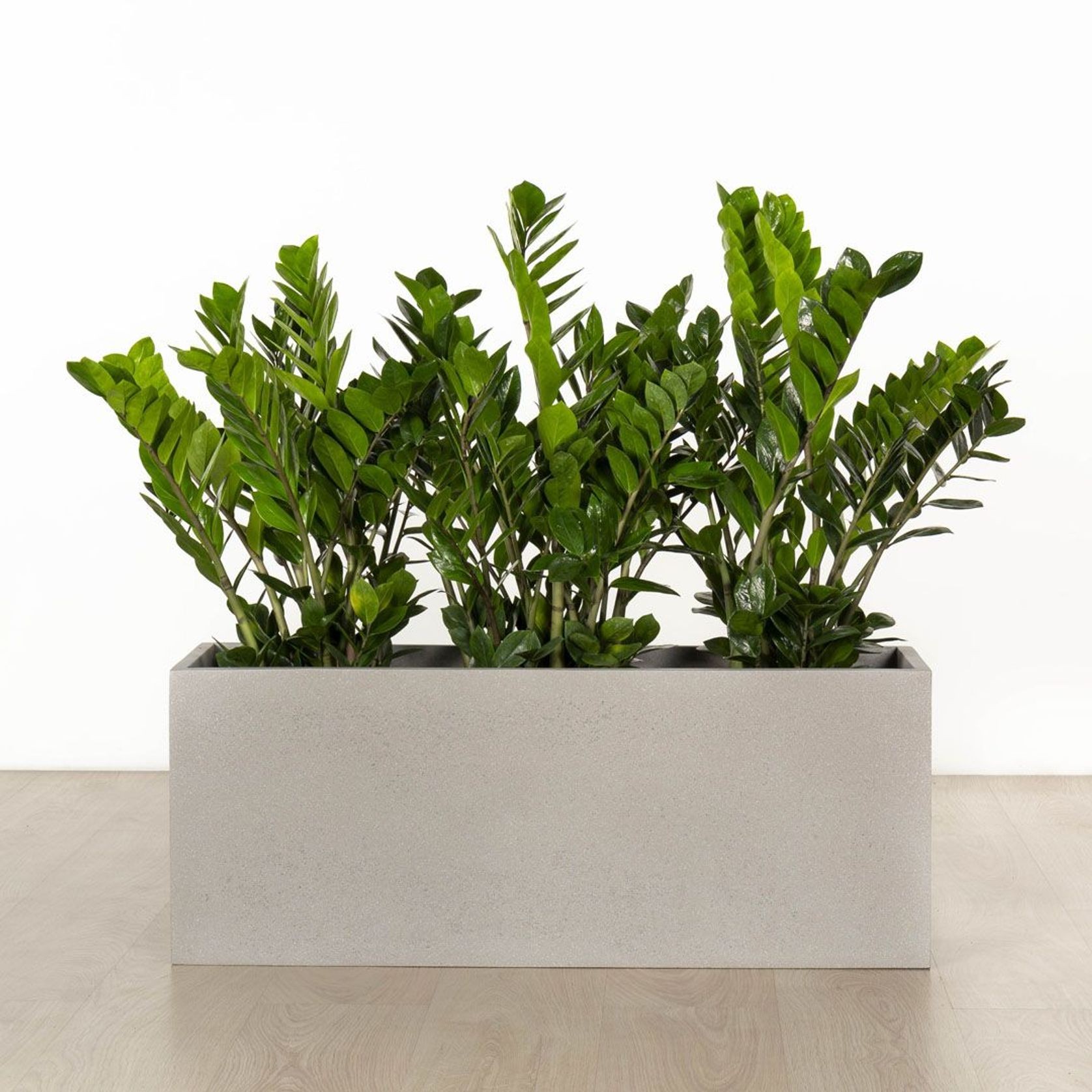 Auchenflower Trough gallery detail image