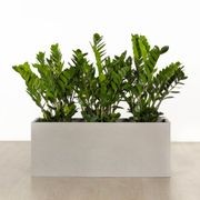 Auchenflower Trough gallery detail image