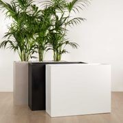 Auchenflower Trough gallery detail image