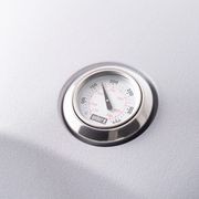Weber Baby Q1200N Flame Red ULPG gallery detail image