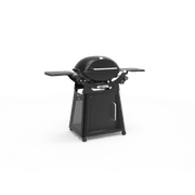 Weber Family Q3200N+ Midnight Black ULPG gallery detail image