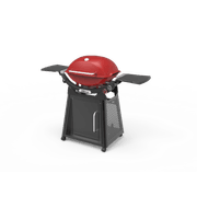 Weber Family Q3200N+ Flame Red ULPG gallery detail image