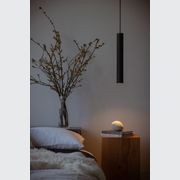 Roest Pendant V gallery detail image