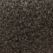 Africa Grey gallery detail image